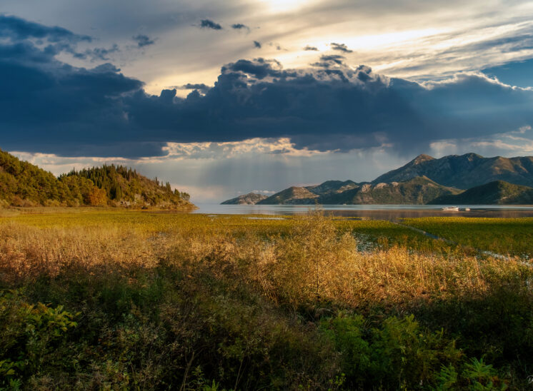 Skadarsko Jezero