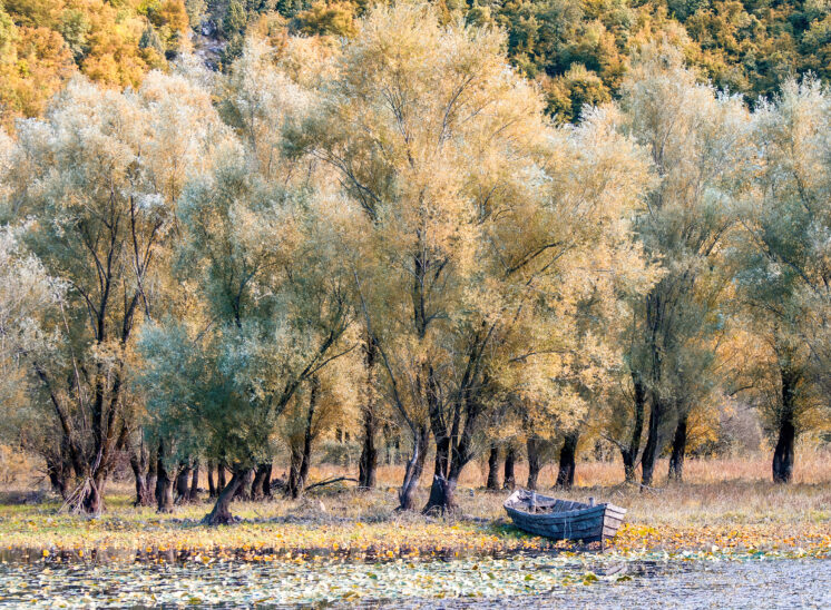 Skadarsko Jezero