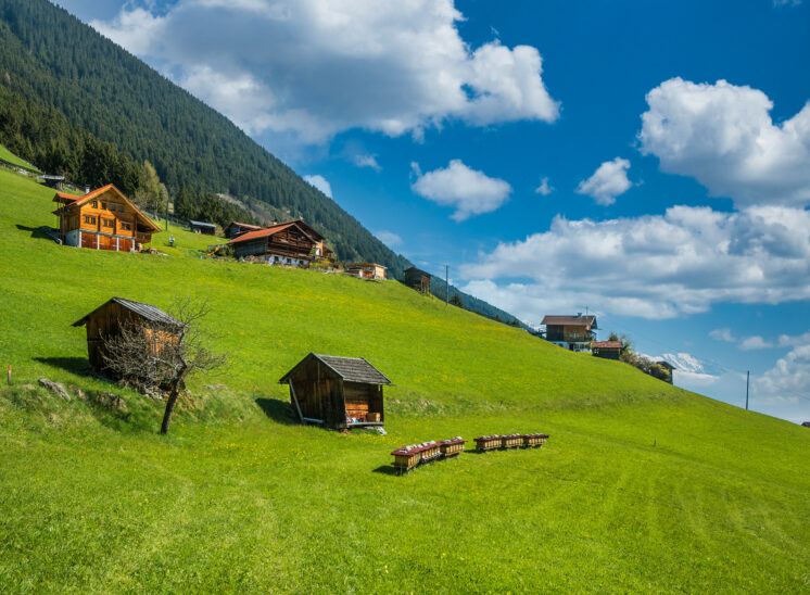 Gries im Sellraintal