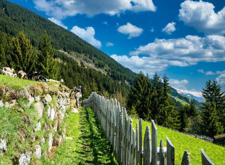 Gries im Sellraintal