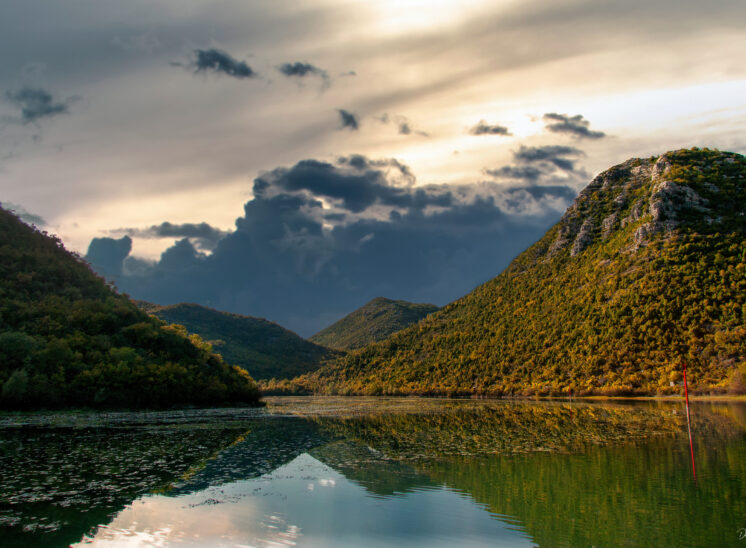 Skadarsko Jezero