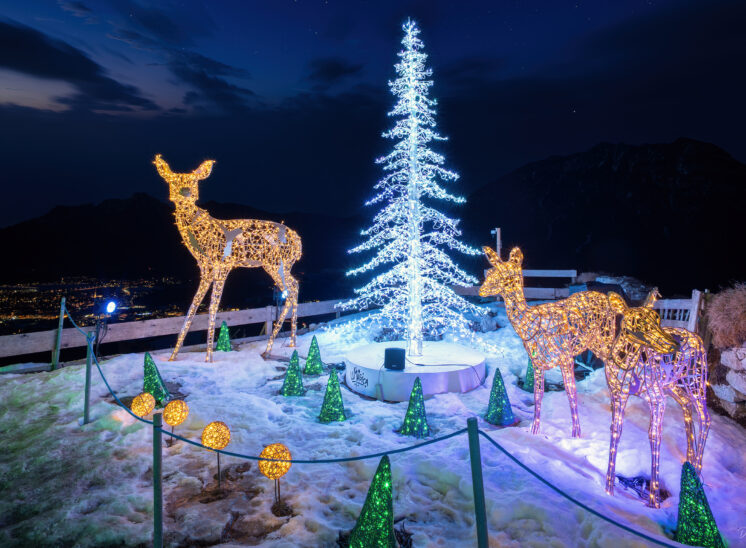 Lumagica Ehrenberg Reutte