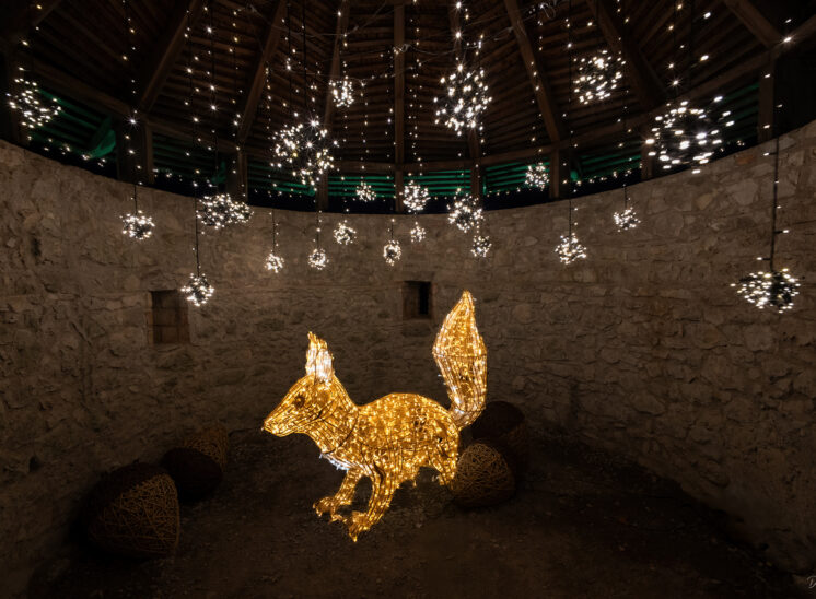 Lumagica Ehrenberg Reutte