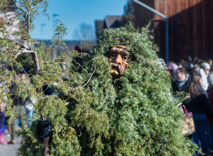 Thaurer Mullerlaufen 2026