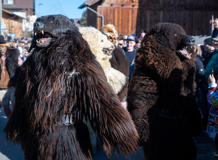 Thaurer Mullerlaufen